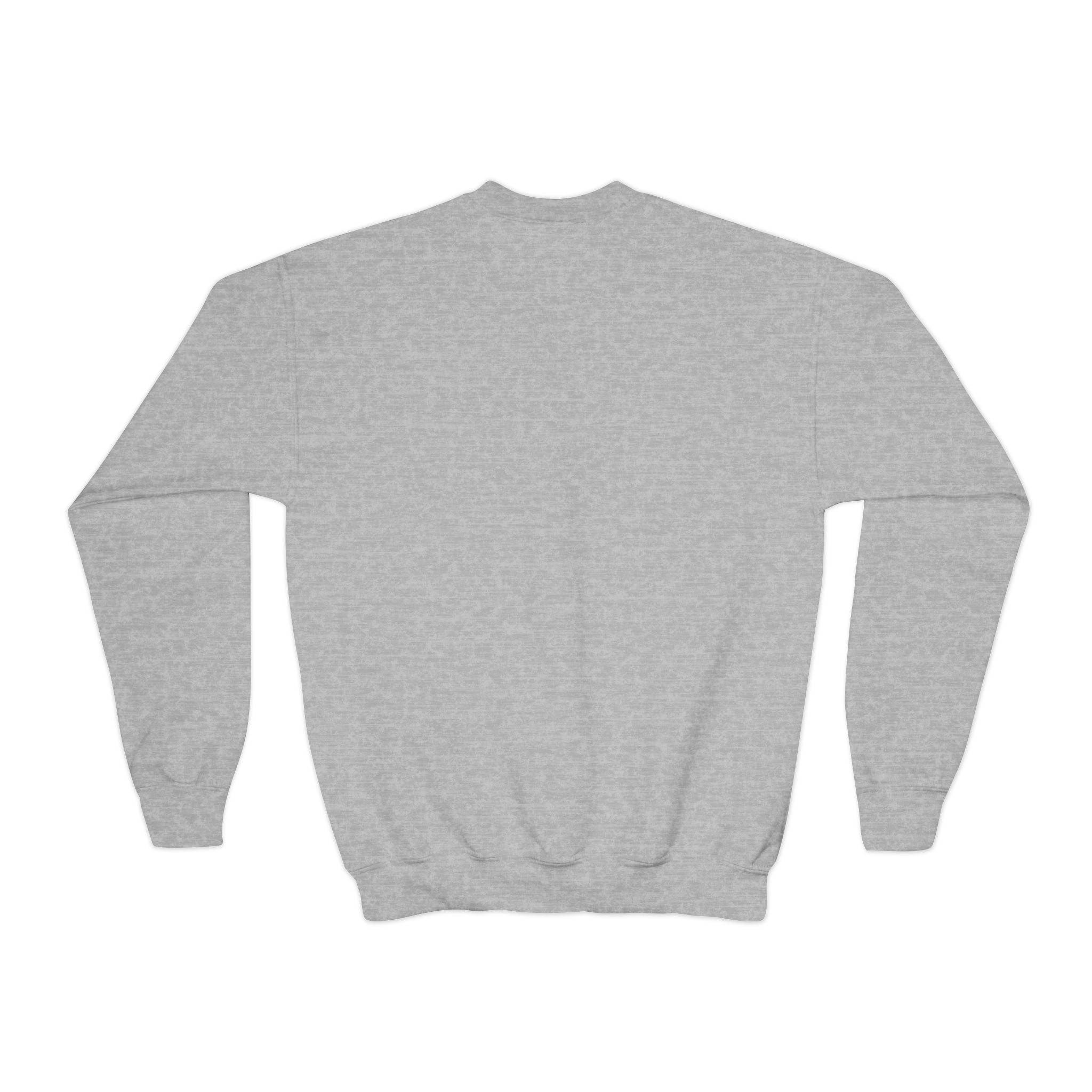 Youth Crewneck Sweatshirt — Vintage Explorer NY Rat Graphic