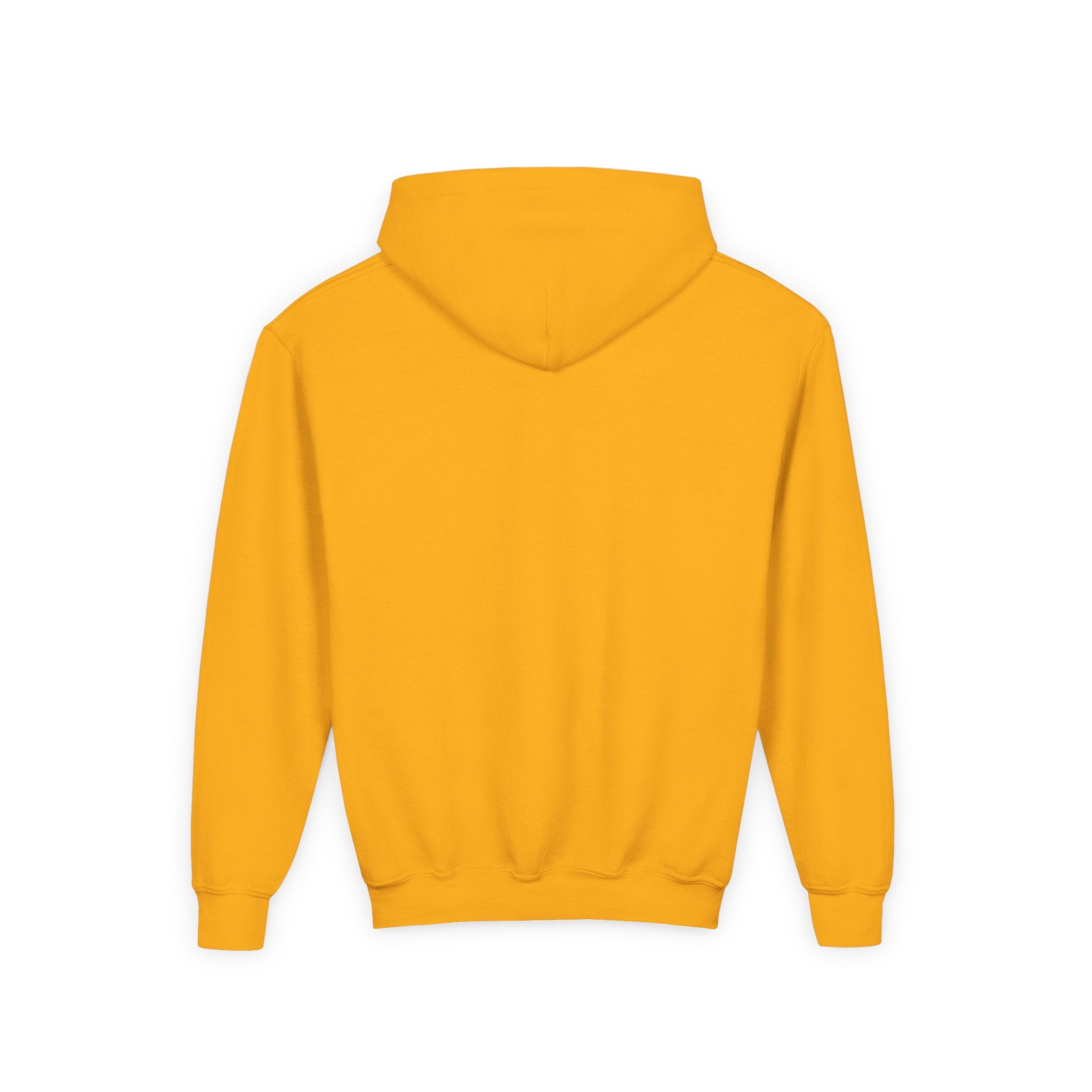 Youth Hoodie — Cool NYC Street Mouse Graphic Sweatshirt