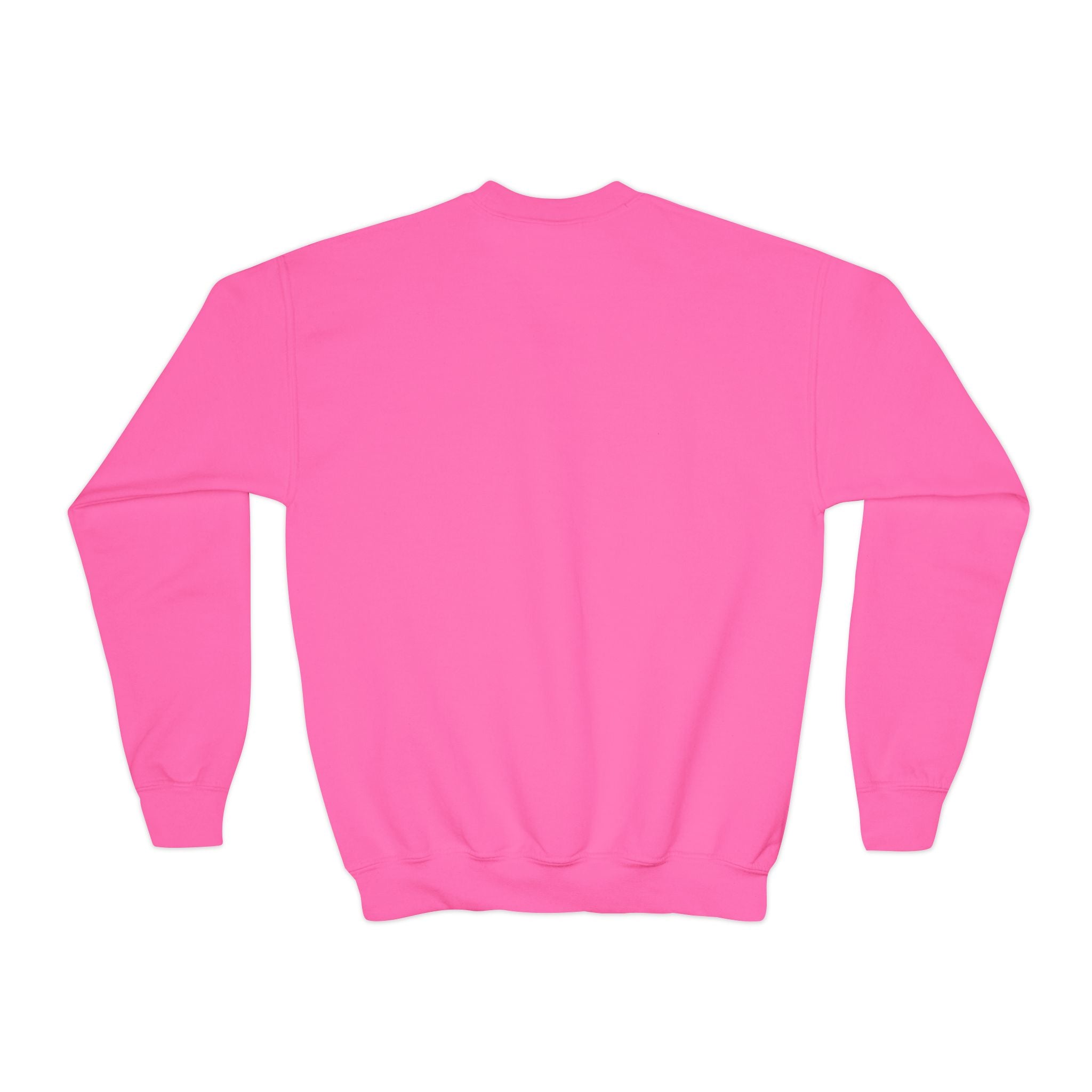 Youth Crewneck Sweatshirt — Vintage Explorer NY Rat Graphic
