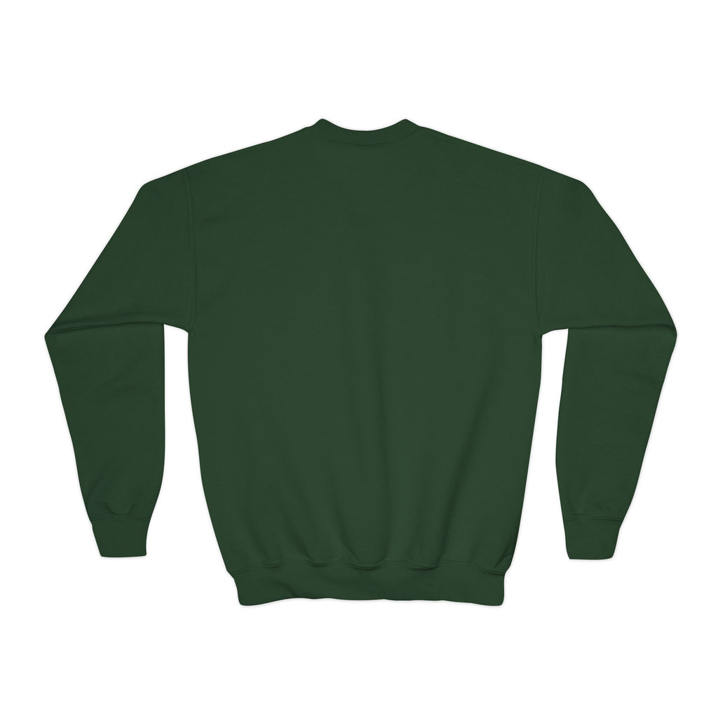 Youth Crewneck Sweatshirt — Vintage Explorer NY Rat Graphic