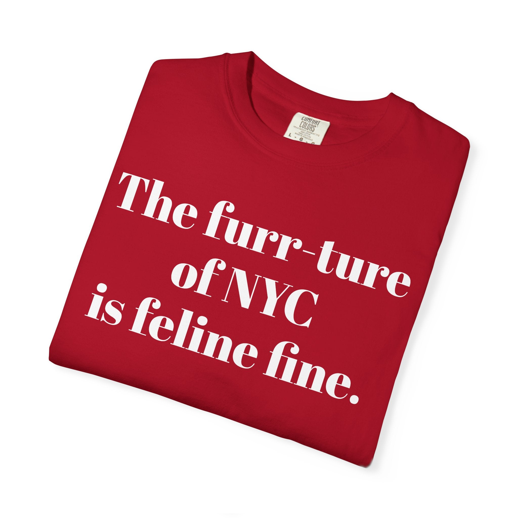 The furr-ture of NYC is feline fine.