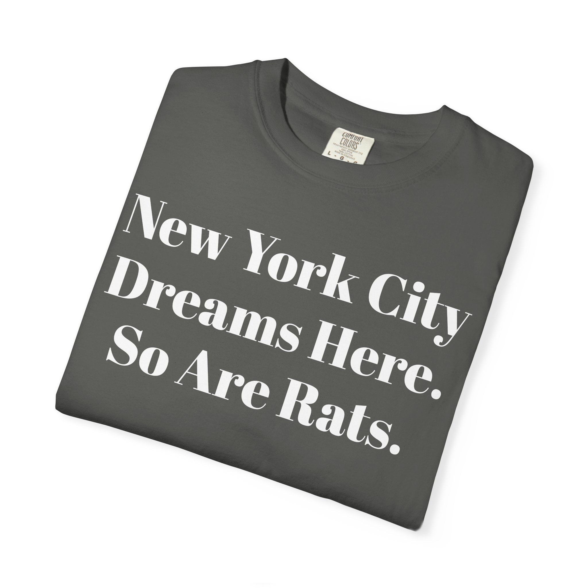 New York City Dreams Here. So Are Rats.