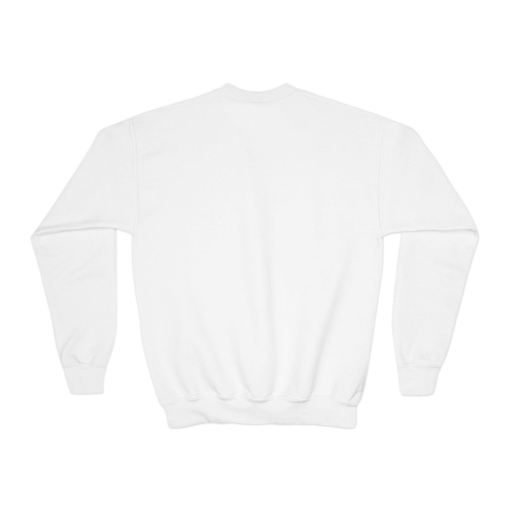 Youth Crewneck Sweatshirt — Vintage Explorer NY Rat Graphic